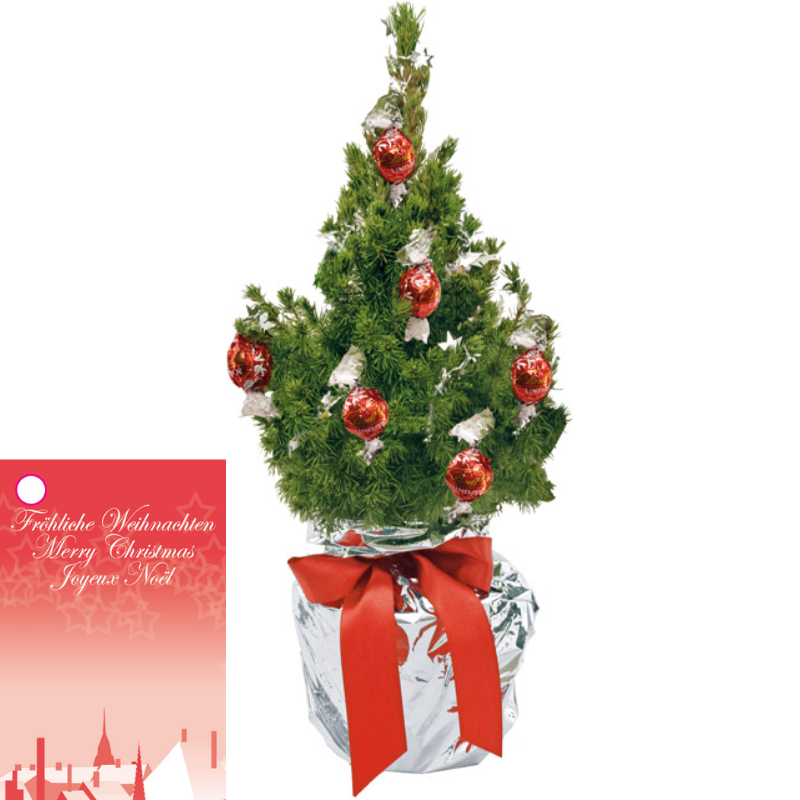 Weihnachtsbaum mit Lindt Kugeln | Pflanzliche Folie | 35-45 cm | 8 Lindt Kugeln